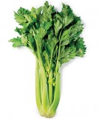 Leaf Celery