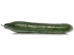 LONG CUCUMBER