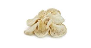 Oyster Mushroom 1kg