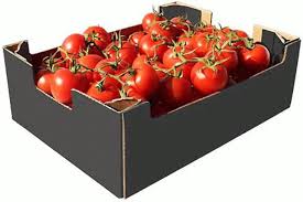 Tomato Box 5kg