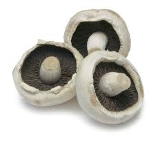 Flat Mushroom 1kg